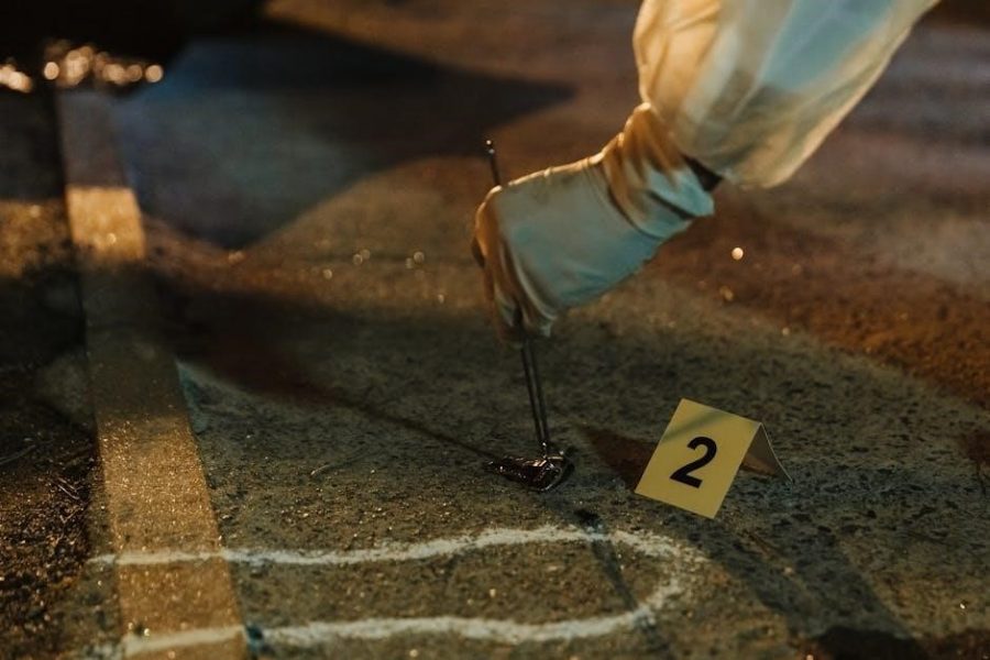 4000 questions for cross examination in criminal cases pdf