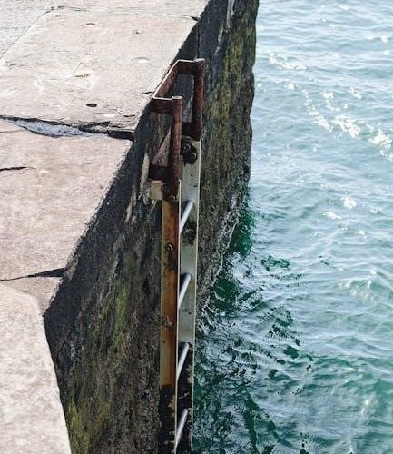 intex ladder instructions