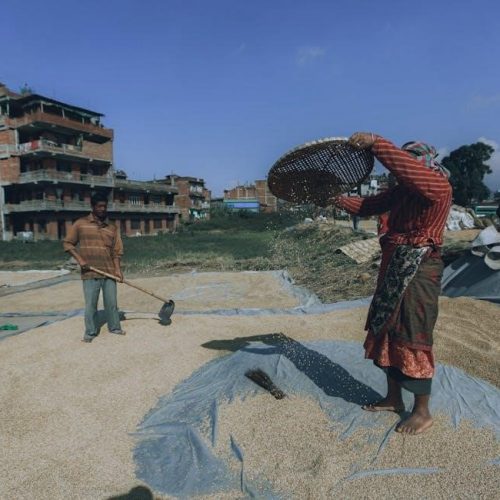 horstmann economy 7 quartz user manual