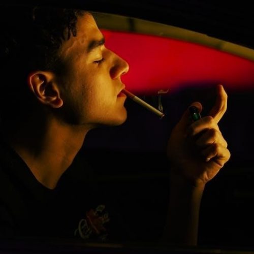 the gentlemans guide to vice and virtue