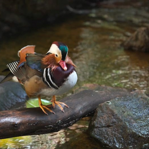 sustain me by barbara o’neill pdf free download