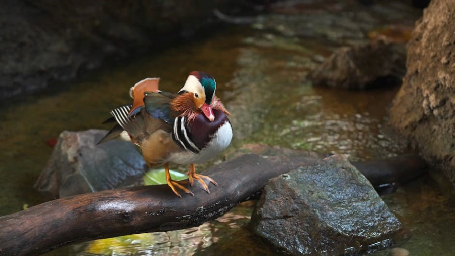 sustain me by barbara o’neill pdf free download