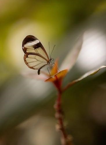 lord of the flies pdf