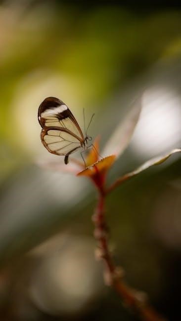 lord of the flies pdf