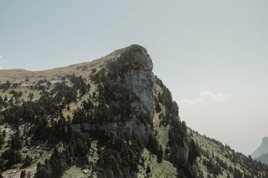 epic of sundiata pdf