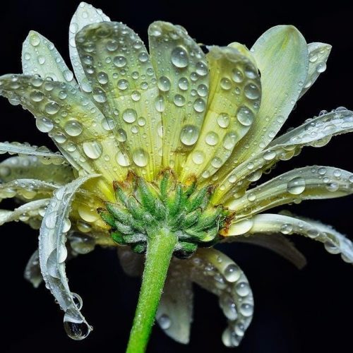 noah ark story summary pdf