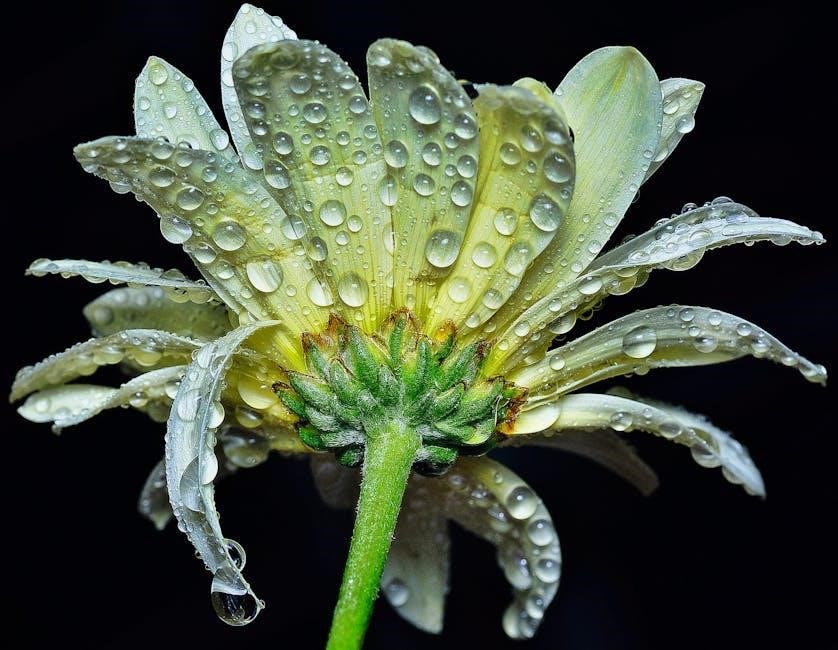 noah ark story summary pdf