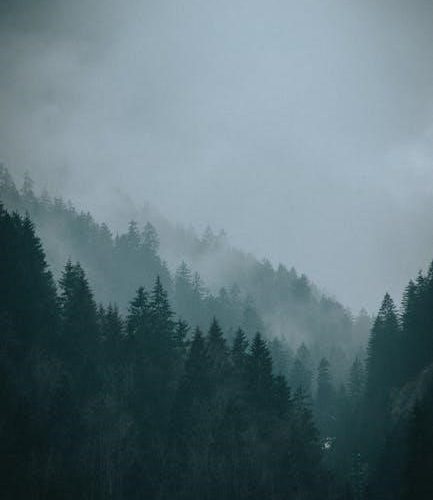 feasibility sample pdf