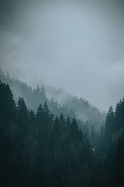 feasibility sample pdf