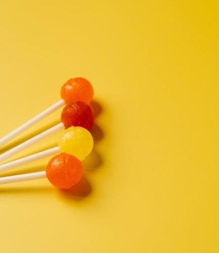 hi mountain snack stick instructions