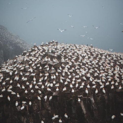 hero of a thousand faces pdf