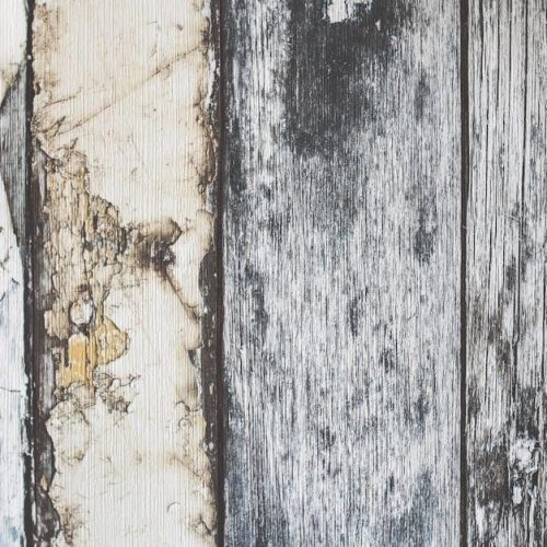 into the woods libretto pdf